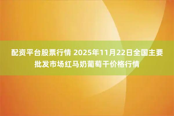 配资平台股票行情 2025年11月22日全国主要批发市场红马奶葡萄干价格行情